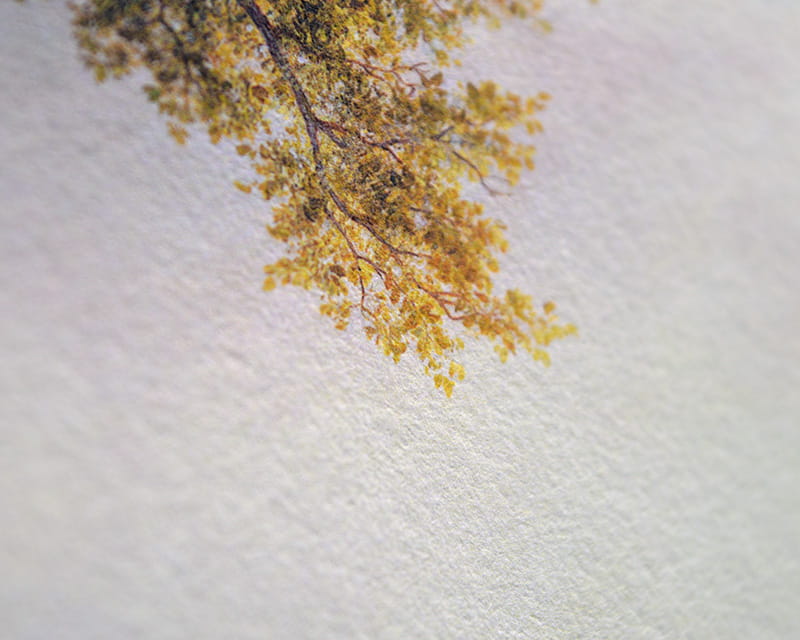 Kozo White, 110g (Maulbeer Faserpapier, Weiß)  14
