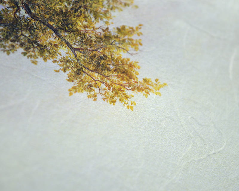 Unryu, 55g (Washi mit wolkigen Kozofasern)  16