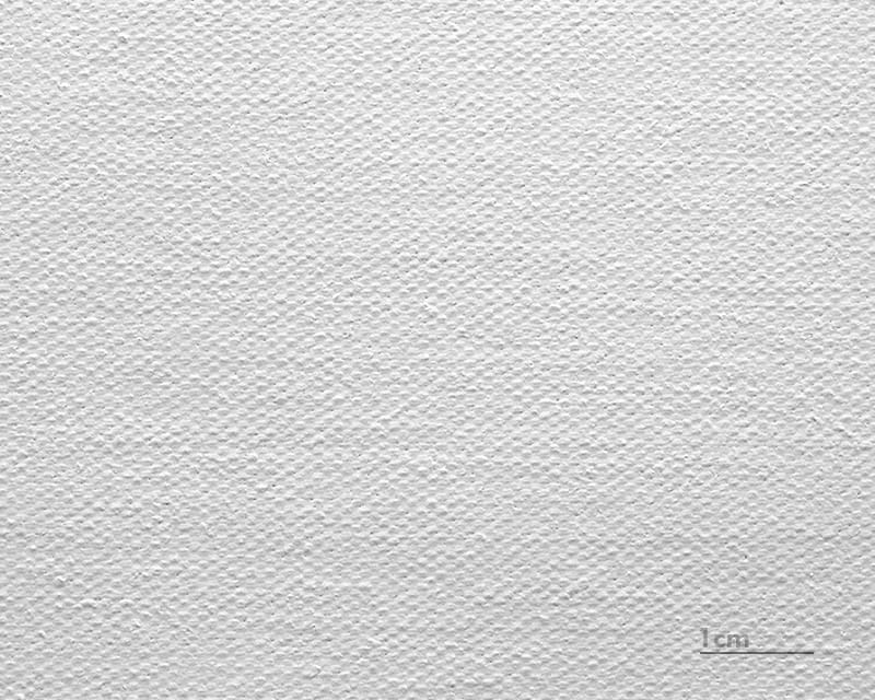 Leinwand Leonardo (Satin) (Canvas Venezia)  1