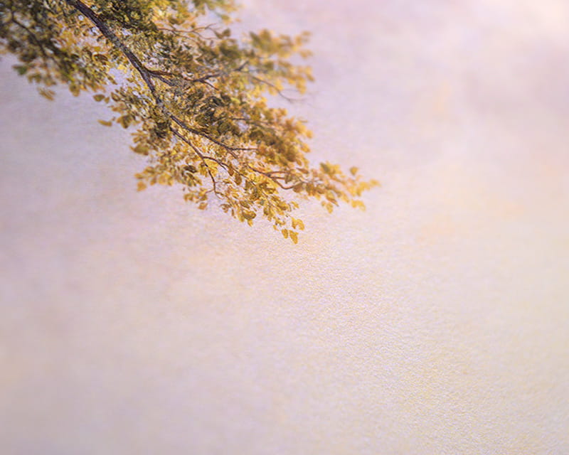 FineArt Foto Matt (Museum Natural Smooth)  25