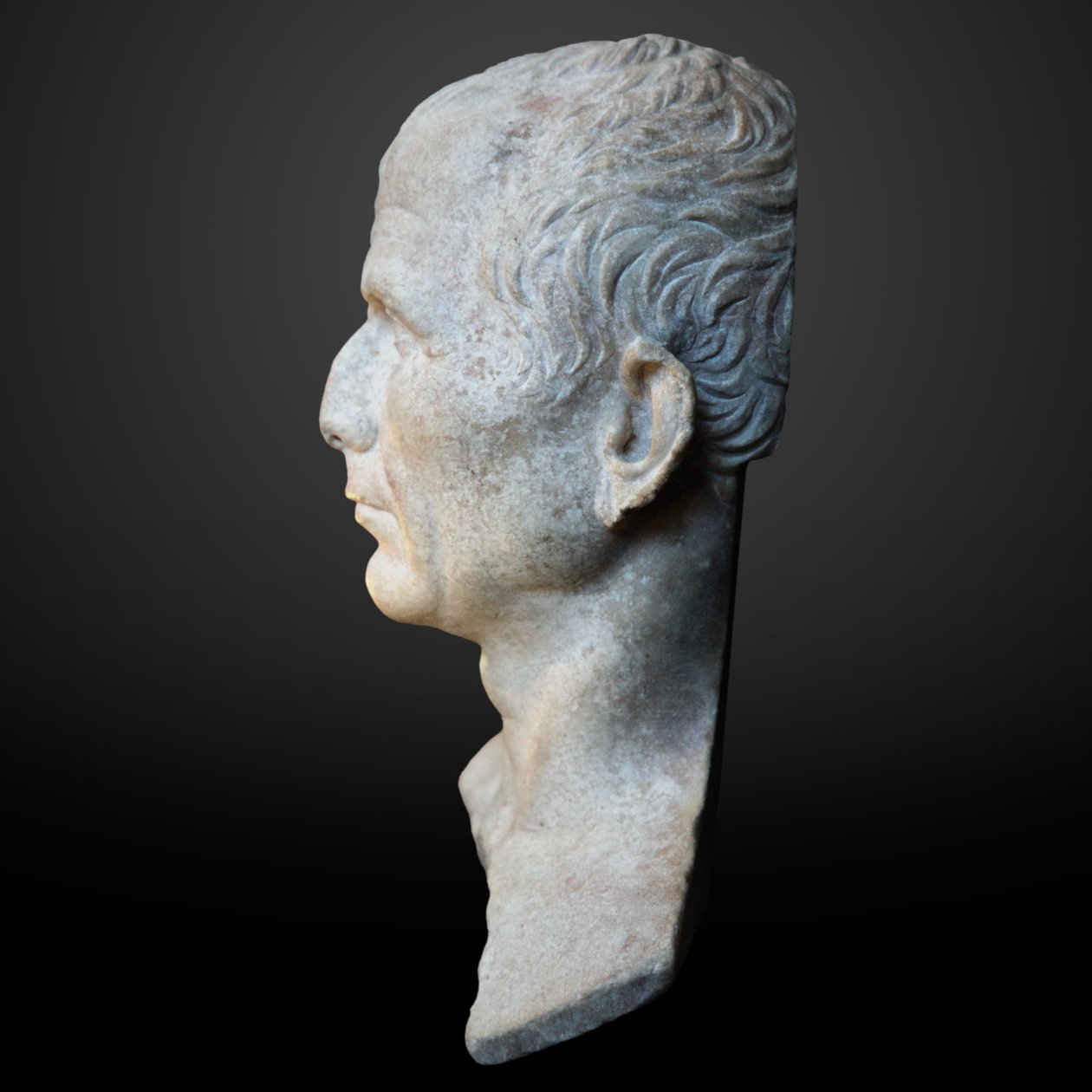 Vermutetes Büste von Caesar von Unknown