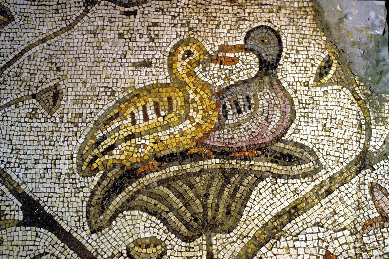 Detail des Tabgha-Mosaiks von Unknown