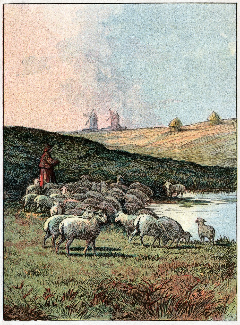 Schafherde von Unknown