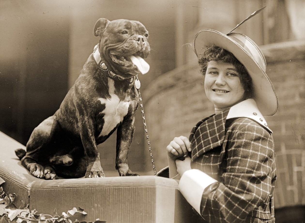 Junges Mädchen und ihr Bullterrier, ca. 1915 von Unknown