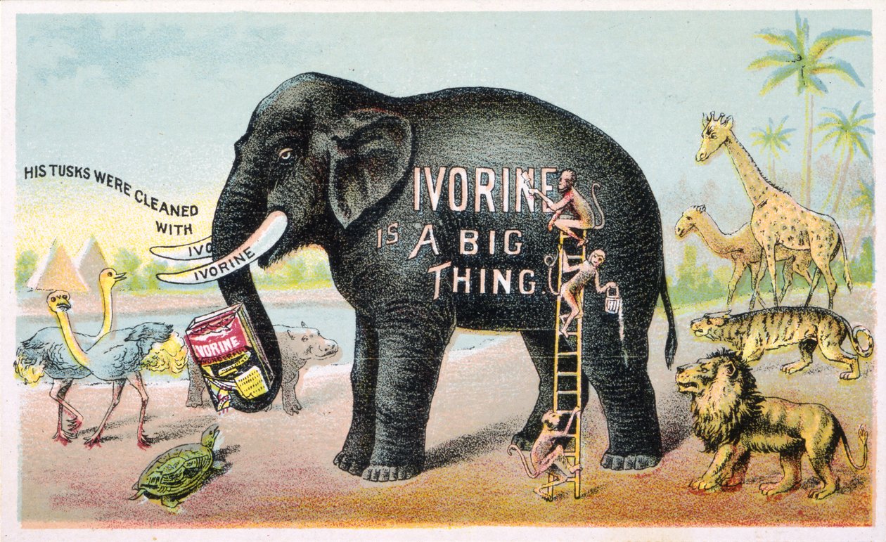 Ivorine ist eine große Sache von American School