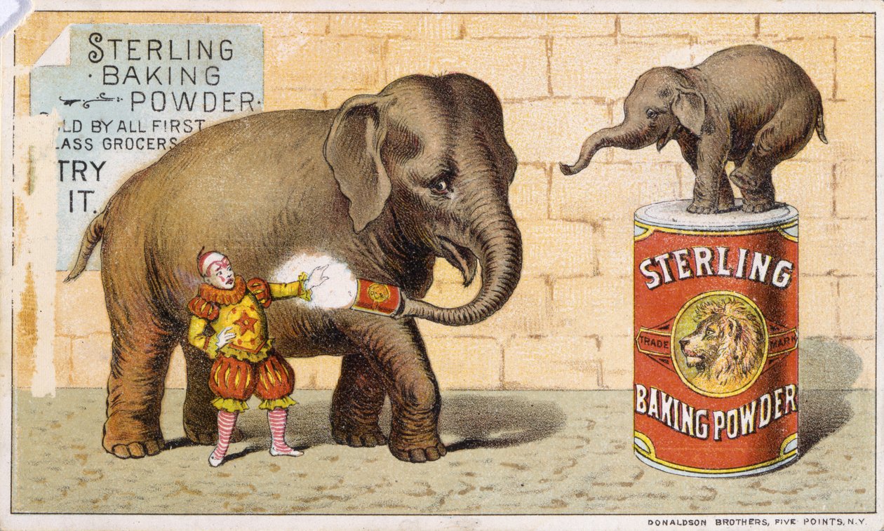 Sterling Backpulver von American School