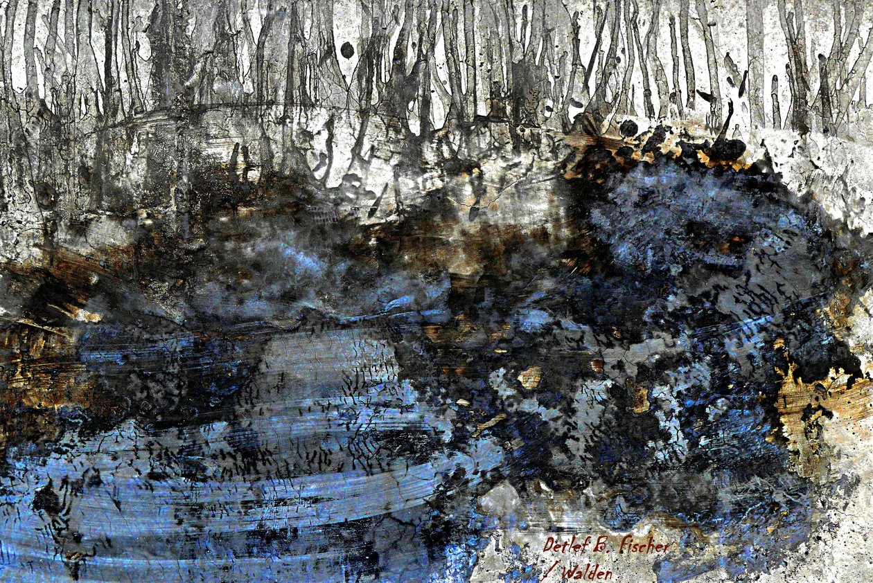 Walden von Detlef B. Fischer