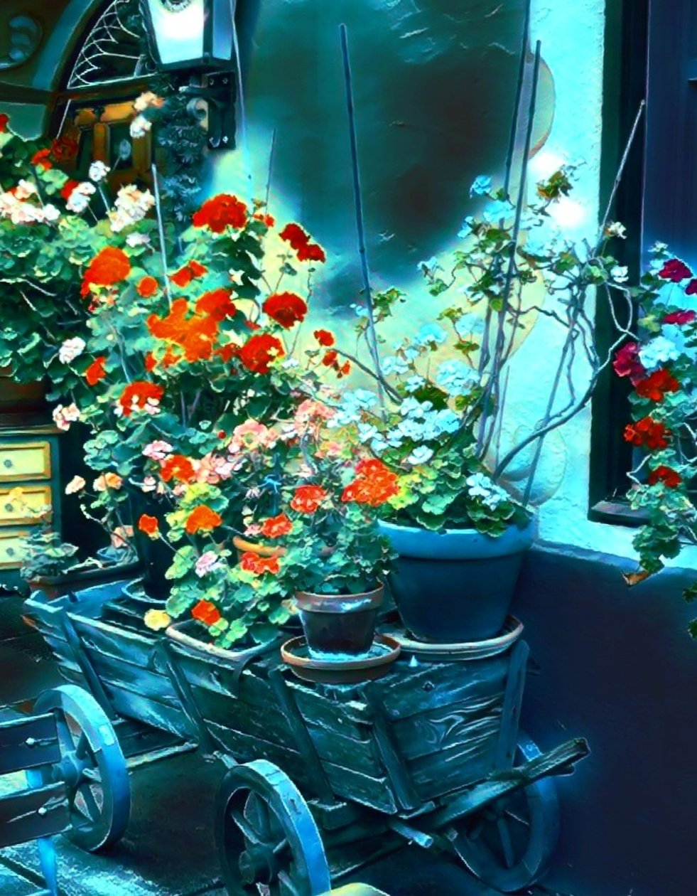 Blumen im Mondlicht. von Margareta Uliarte