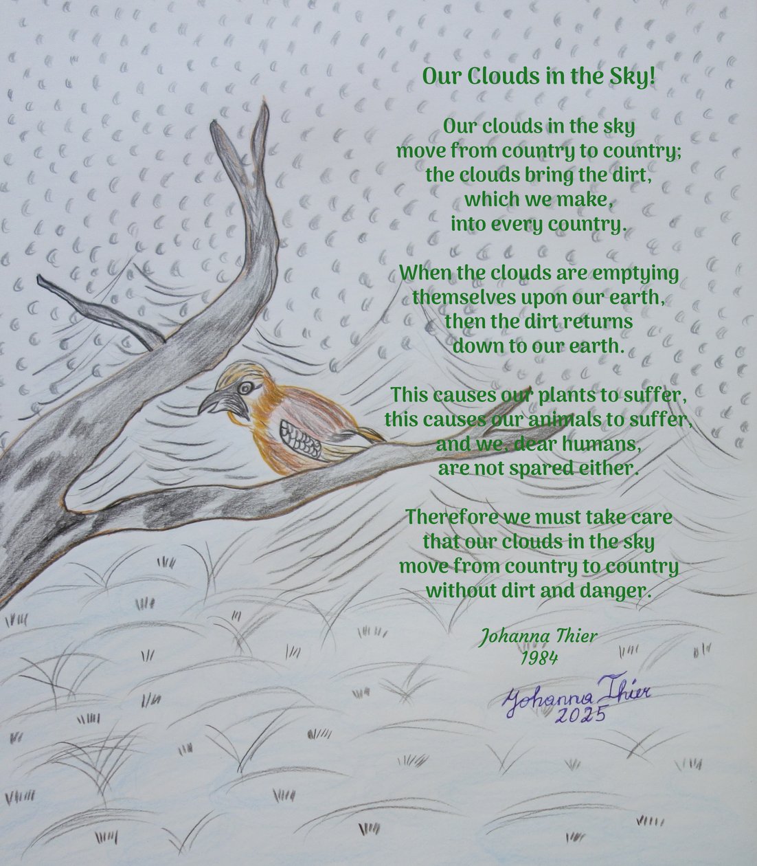 Unsere Wolken am Himmel! von Johanna Thier
