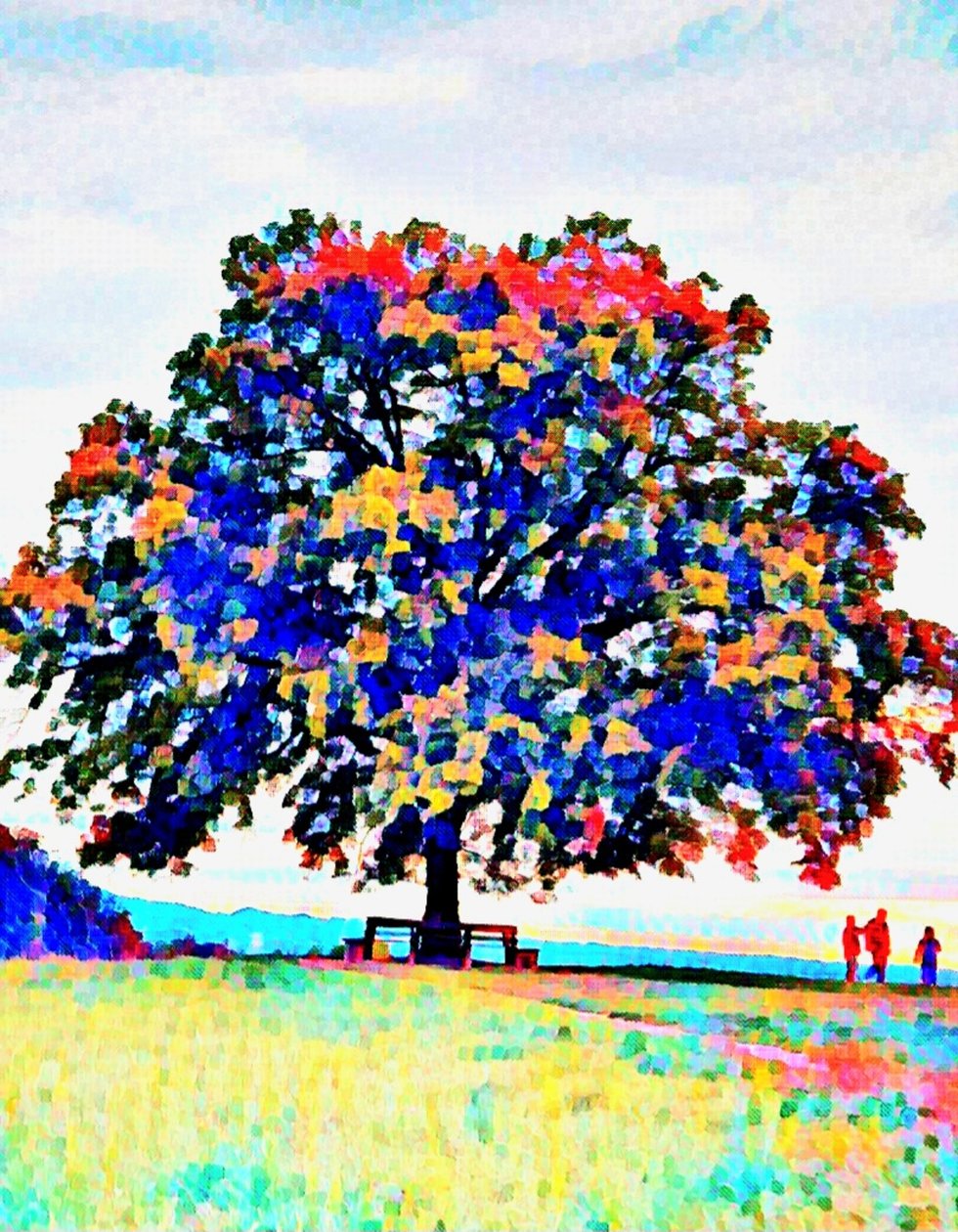 Der Heilige Baum. Maria Plain. von Margareta Uliarte