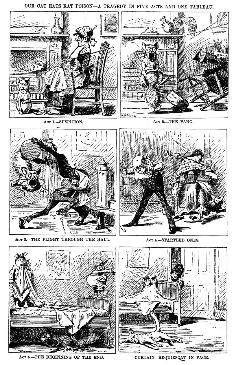 Unsere Katze frisst Rattengift: Eine Tragödie in fünf Akten und einem Tableau von A. B. Frost