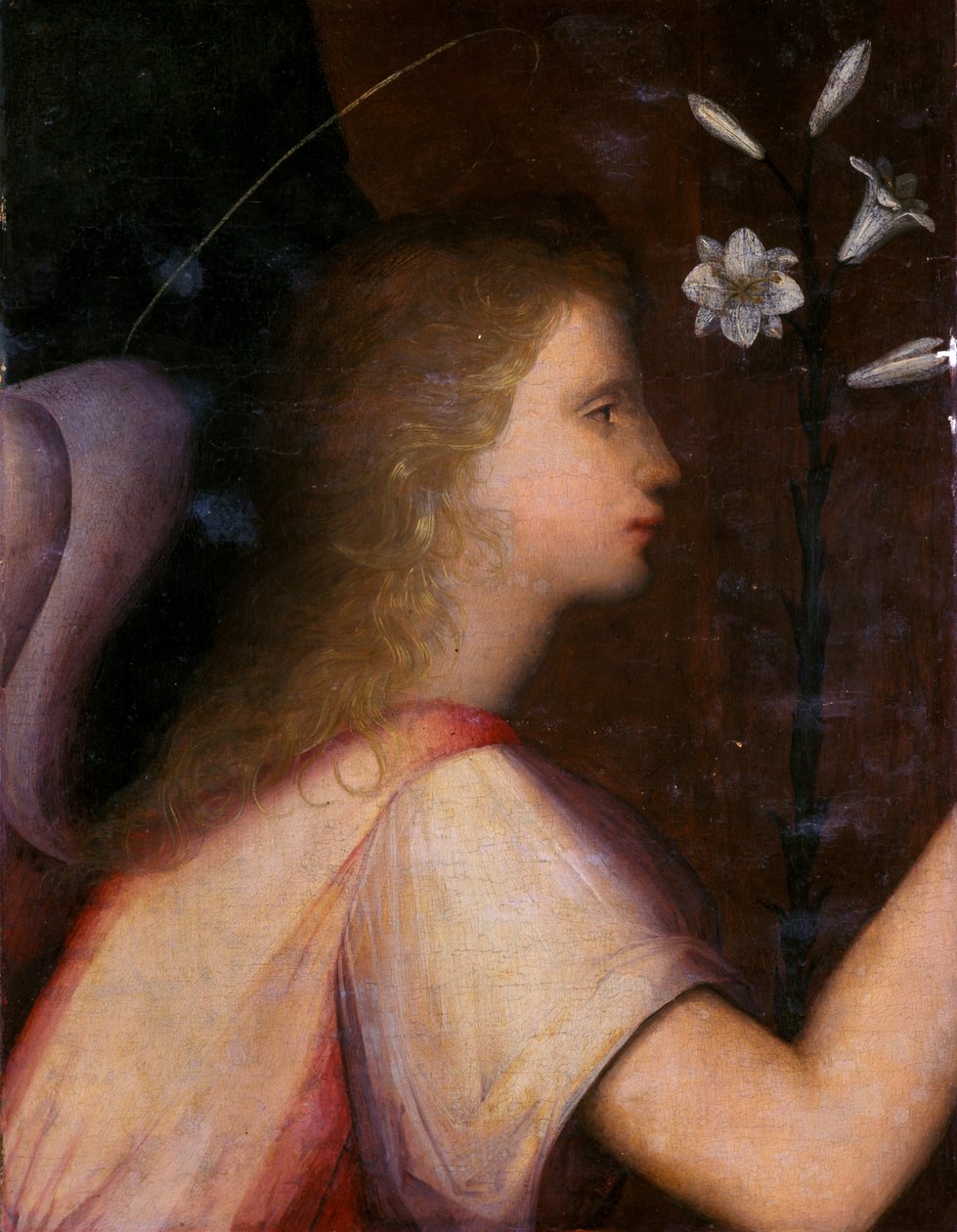 Erzengel Gabriel von A. 1485 c.1525 Piccinelli