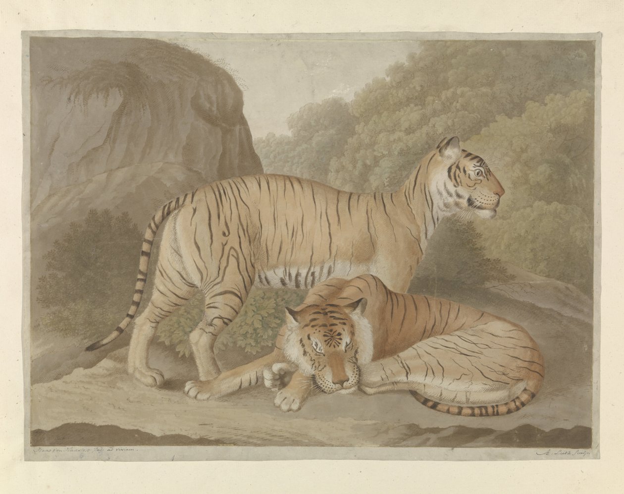 Zwei Tiger in einer Landschaft von A. Lutz