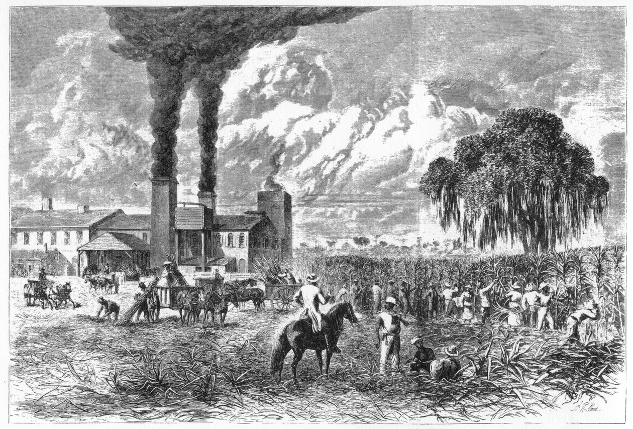 Zuckerplantage, New Orleans, 1870 von A. R. Ward
