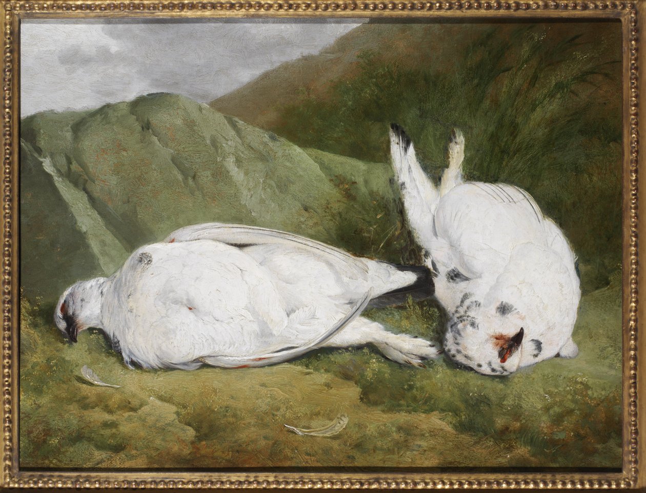 Schneehuhn von Abel Hold