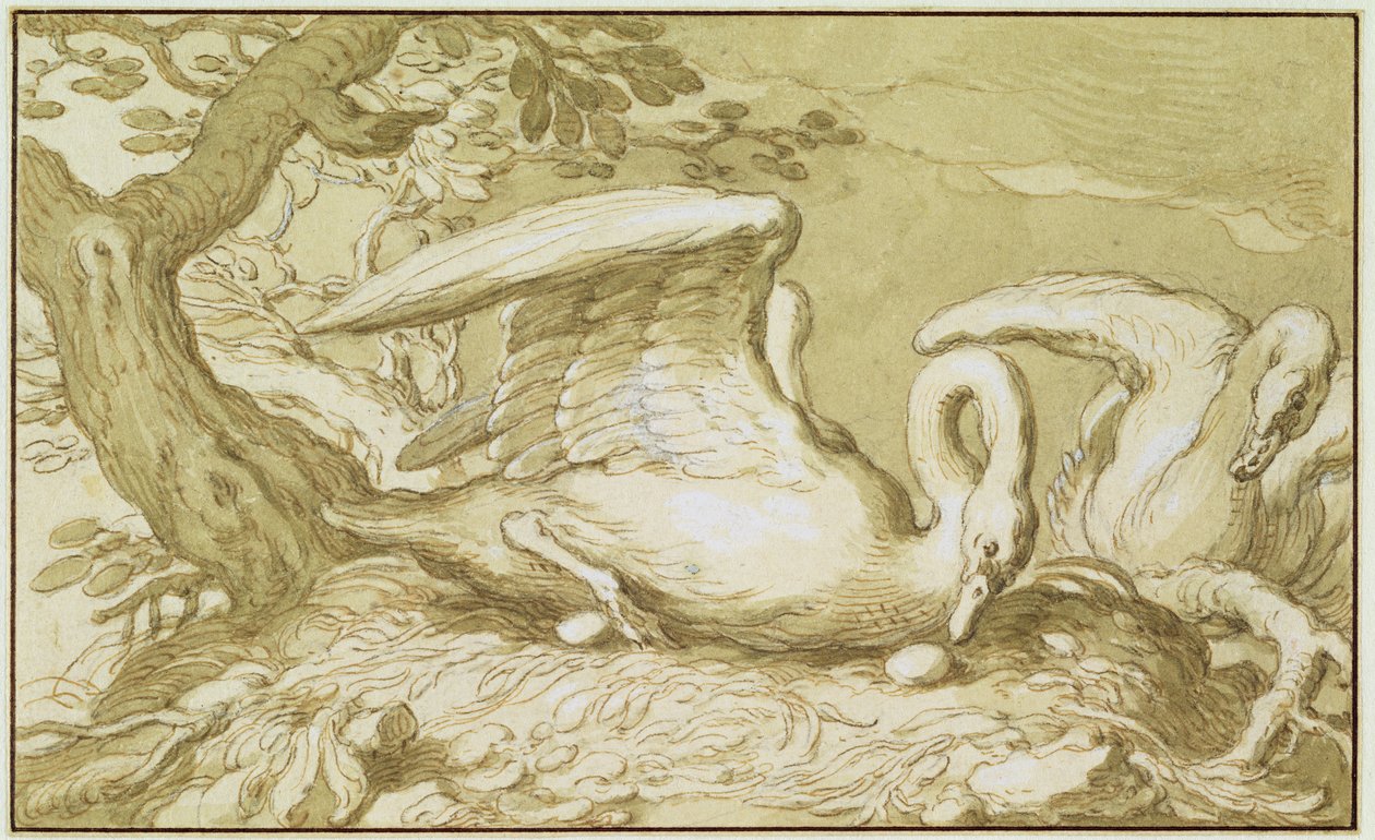 Ein Schwan in ihrem Nest von Abraham Bloemaert