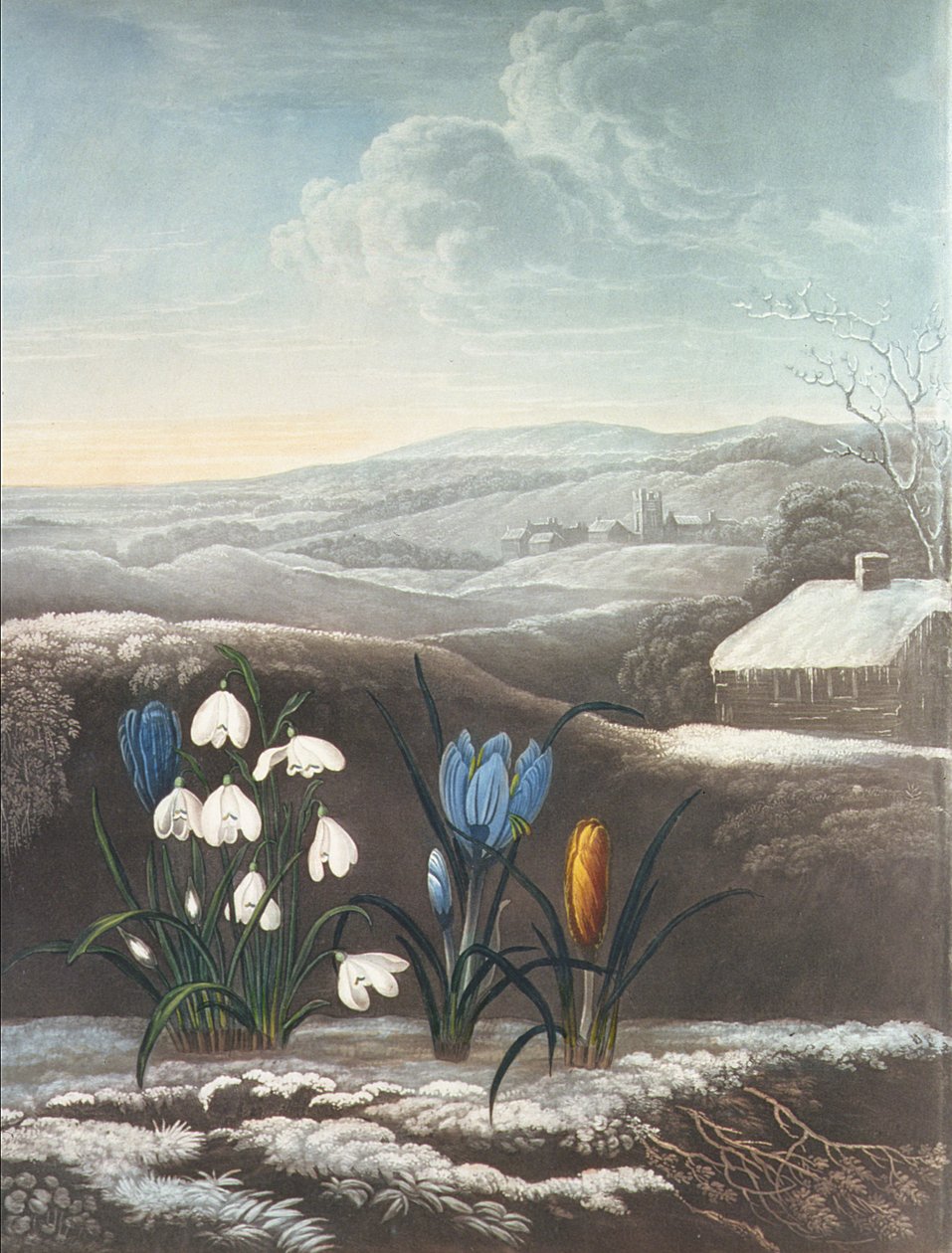 Das Schneeglöckchen, graviert von Ward, wahrscheinlich frühes 19. Jahrhundert von Abraham Pether