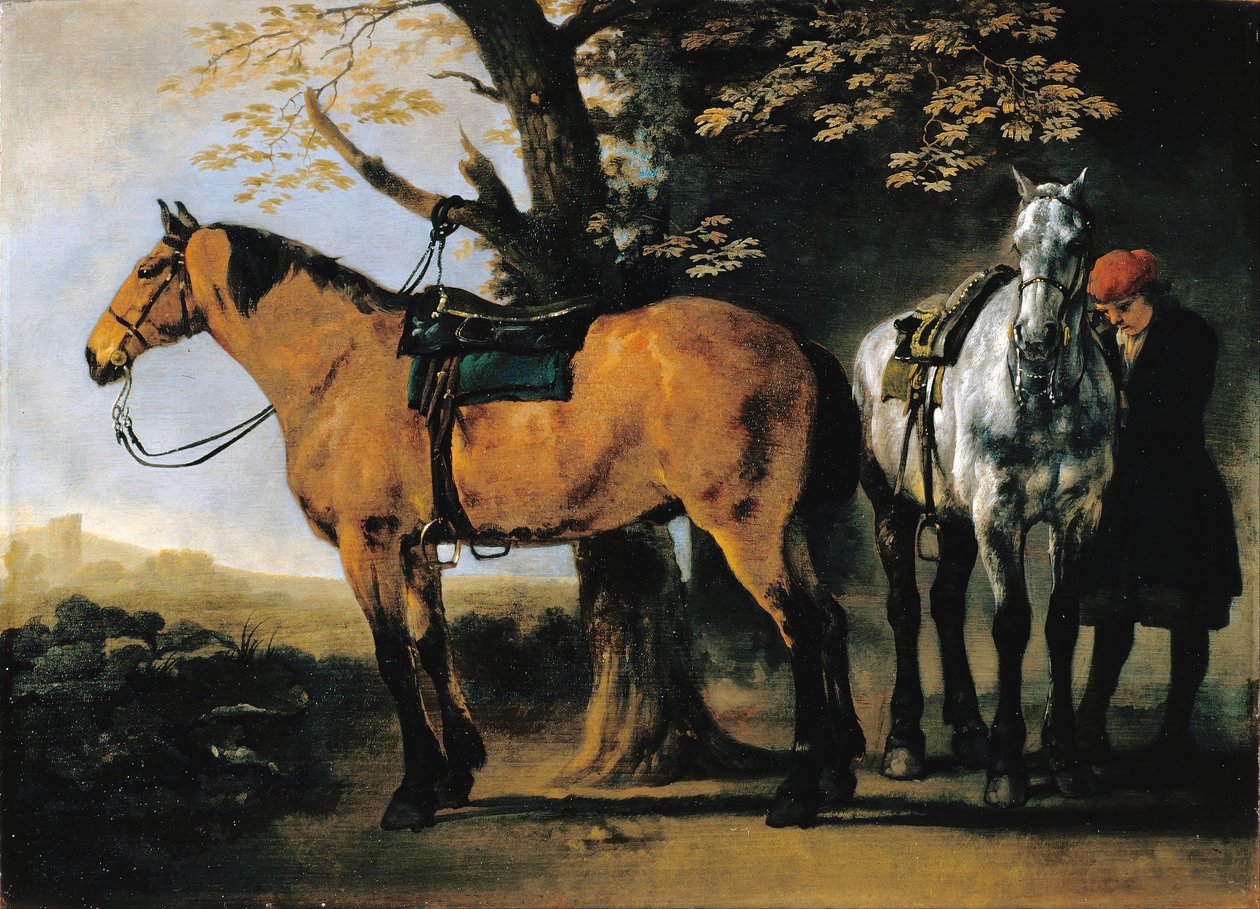 Zwei Pferde von Abraham van Calraet