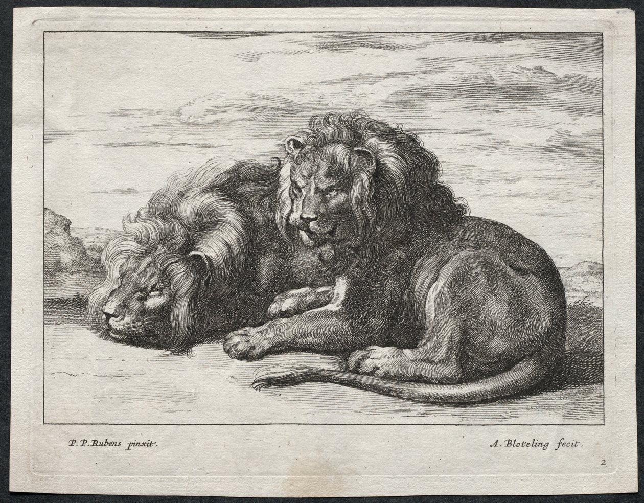 Verschiedene Löwen von Abraham Blooteling