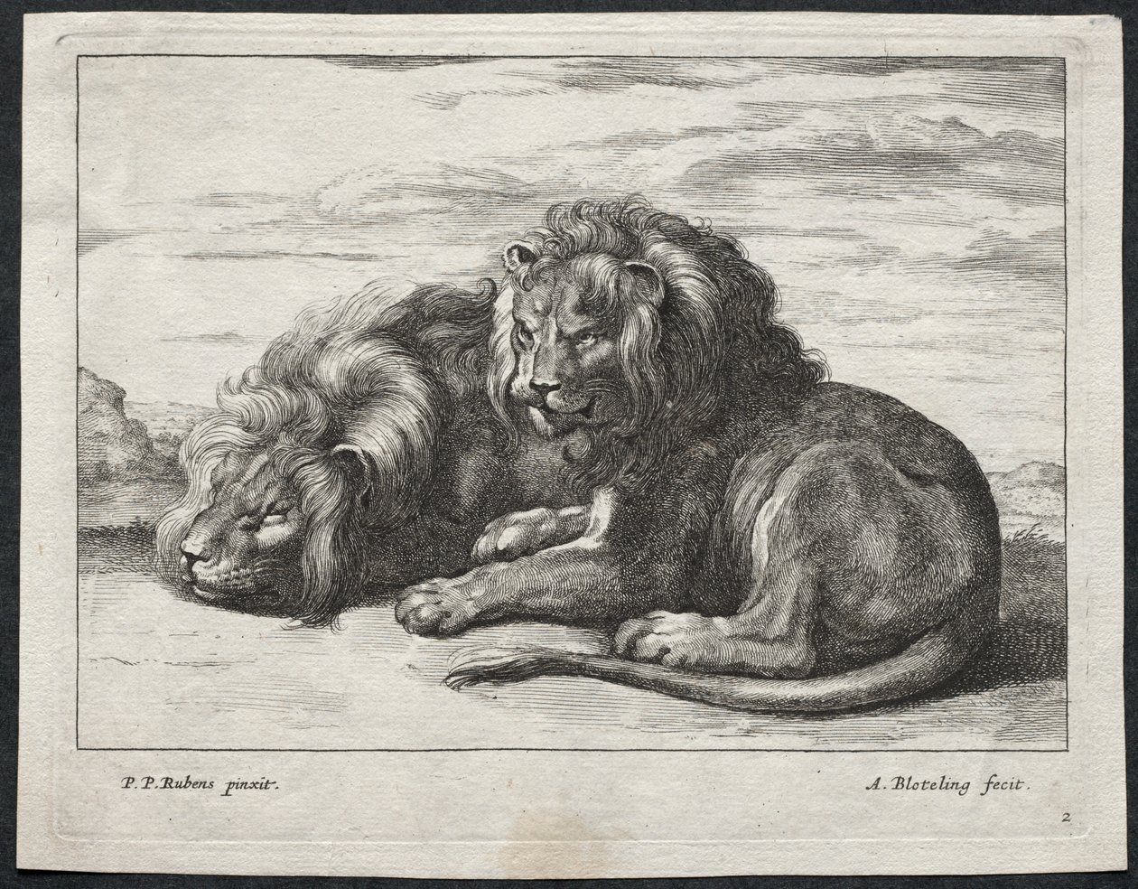 Verschiedene Löwen von Abraham Blooteling