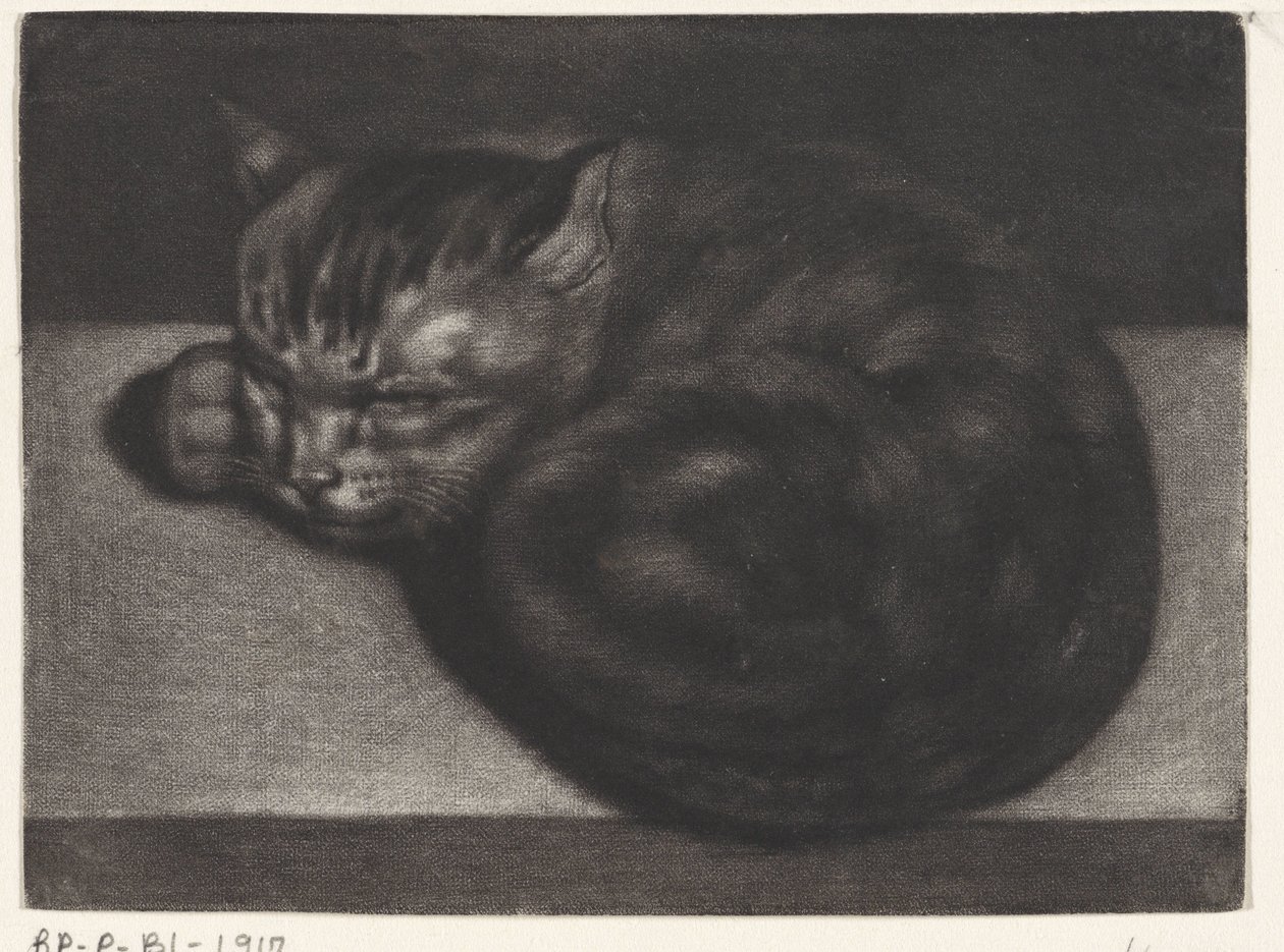 Schlafende Katze von Abraham Bloteling