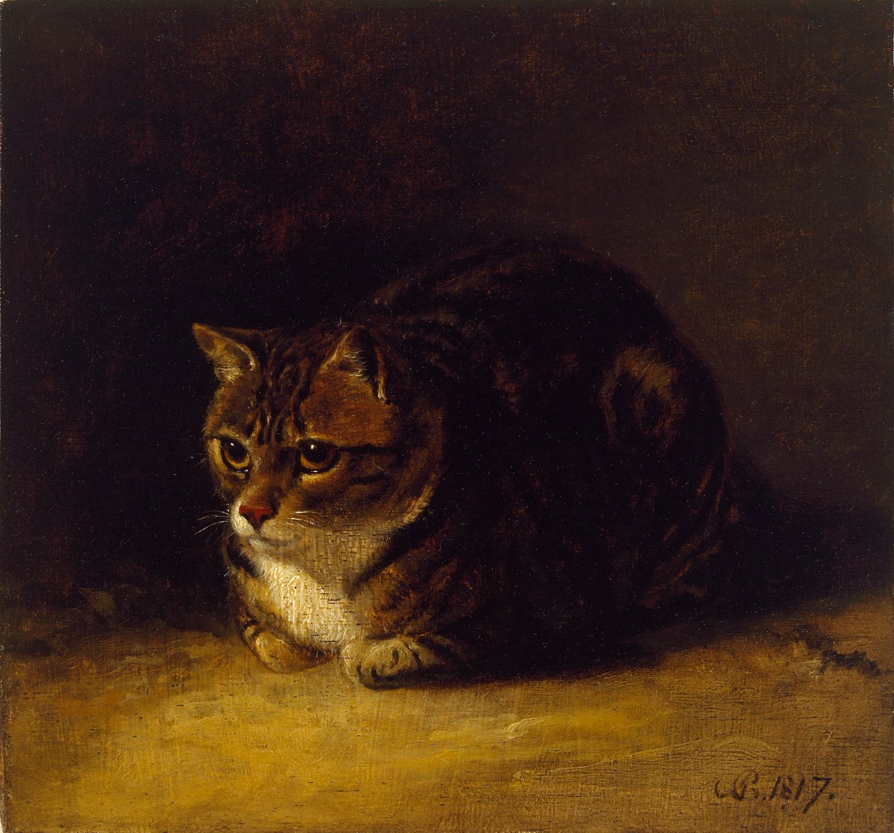 Studie einer Katze, 1817 von Abraham Cooper