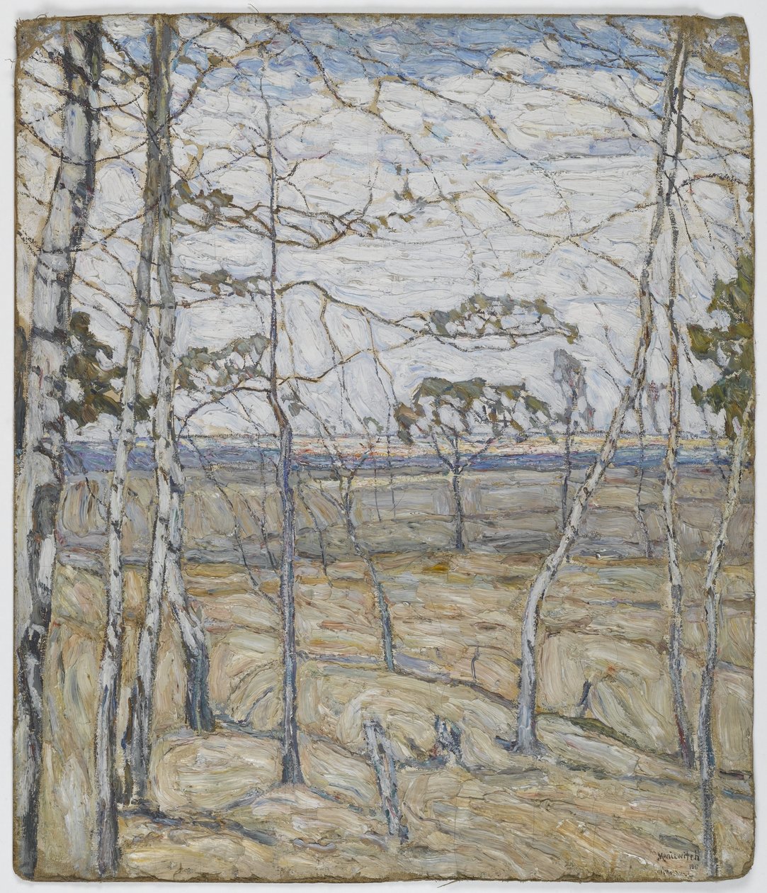 Birkenbäume von Abraham Manievich