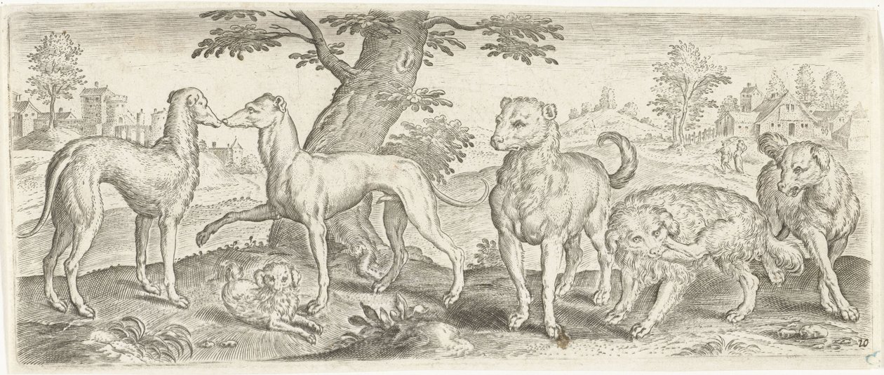 Hunde von Abraham de Bruyn (possibly)