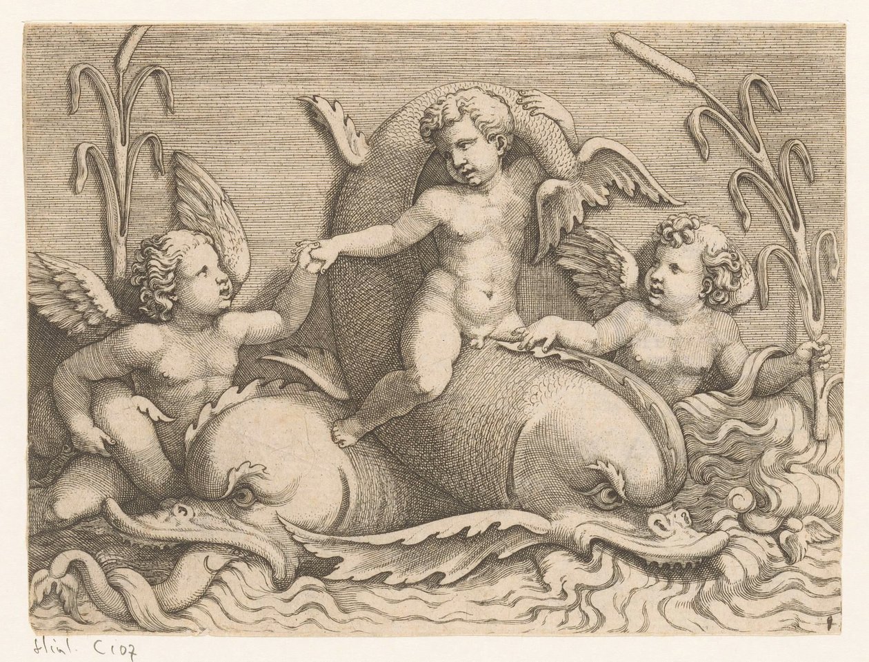 Drei Putti mit Delfinen von Adamo Scultori