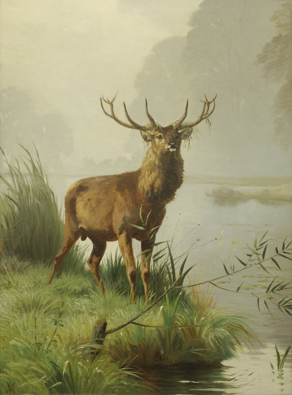 Rothirsch von Adolf Mackeprang