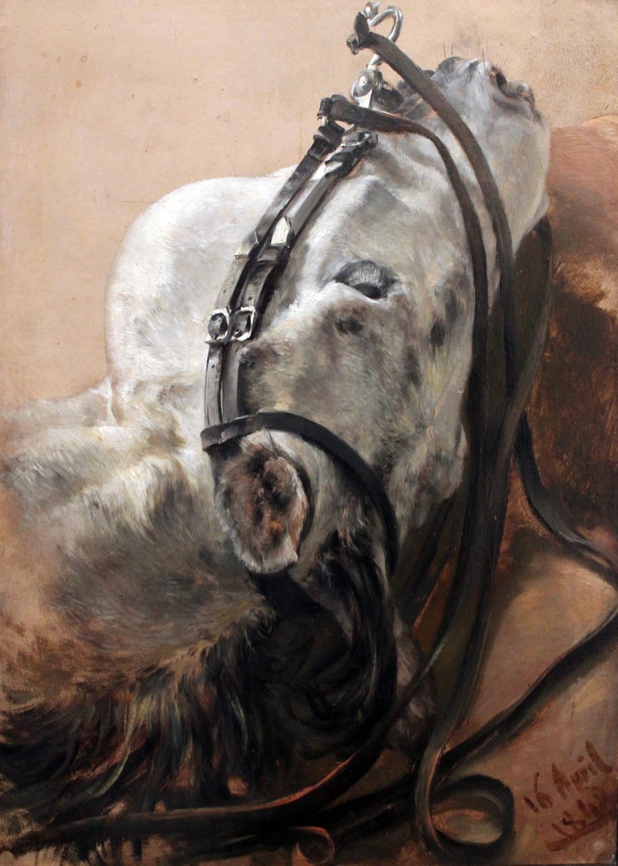 Pferdestudie von Adolph Menzel