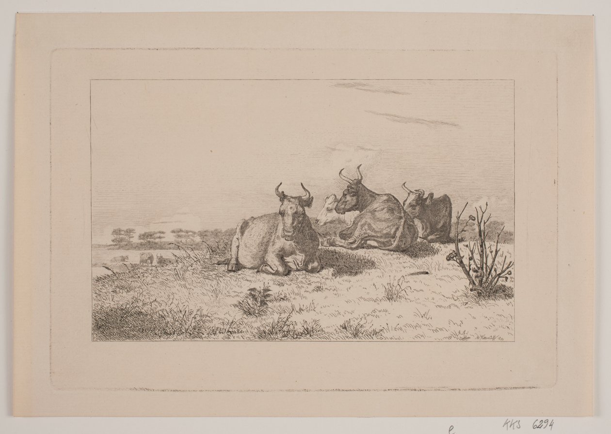 Ruhende Kühe von Johan Adolph Kittendorff