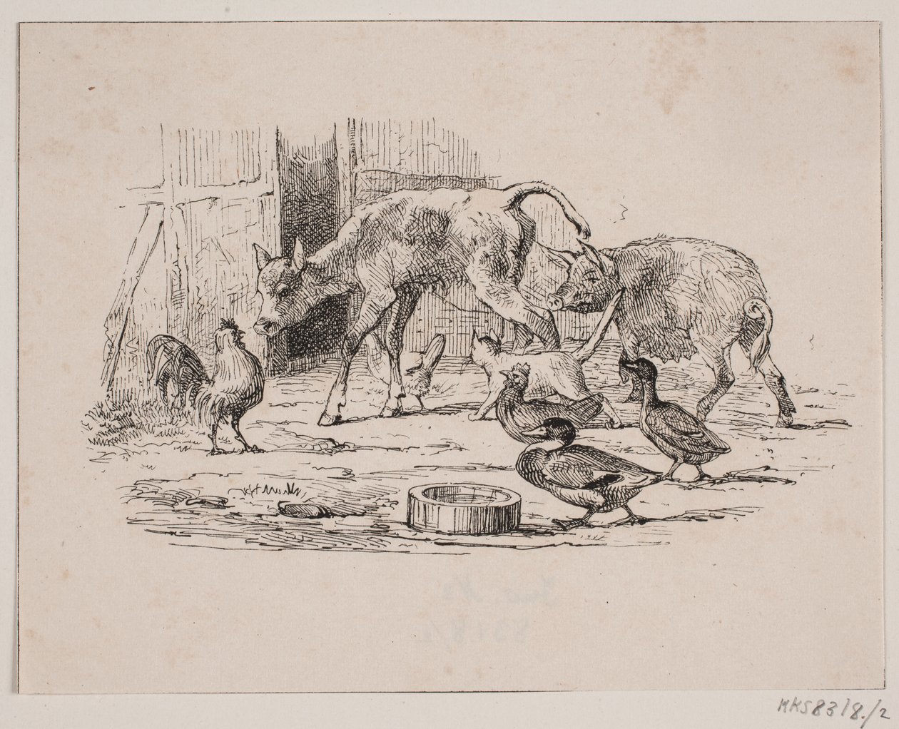Das Kalb von Johan Adolph Kittendorff