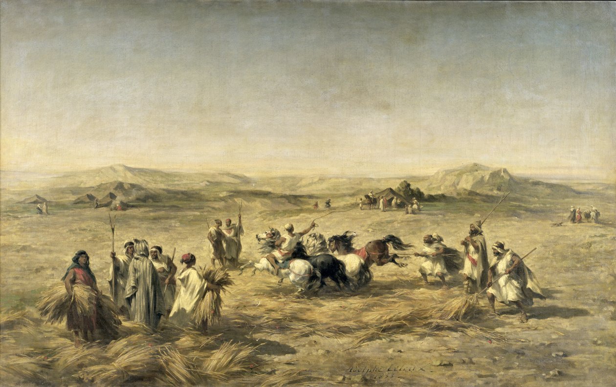 Weizendreschen in Algerien, 1853 von Adolphe Pierre Leleux