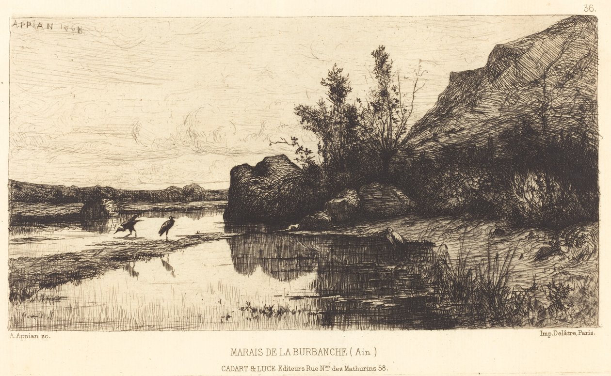Sumpf von Burbanche von Adolphe Appian