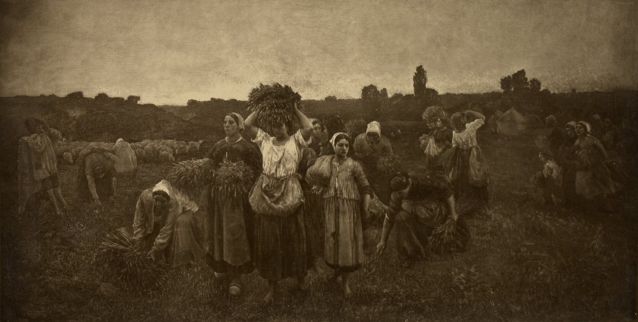 Die Sammler rufen von Adolphe Braun