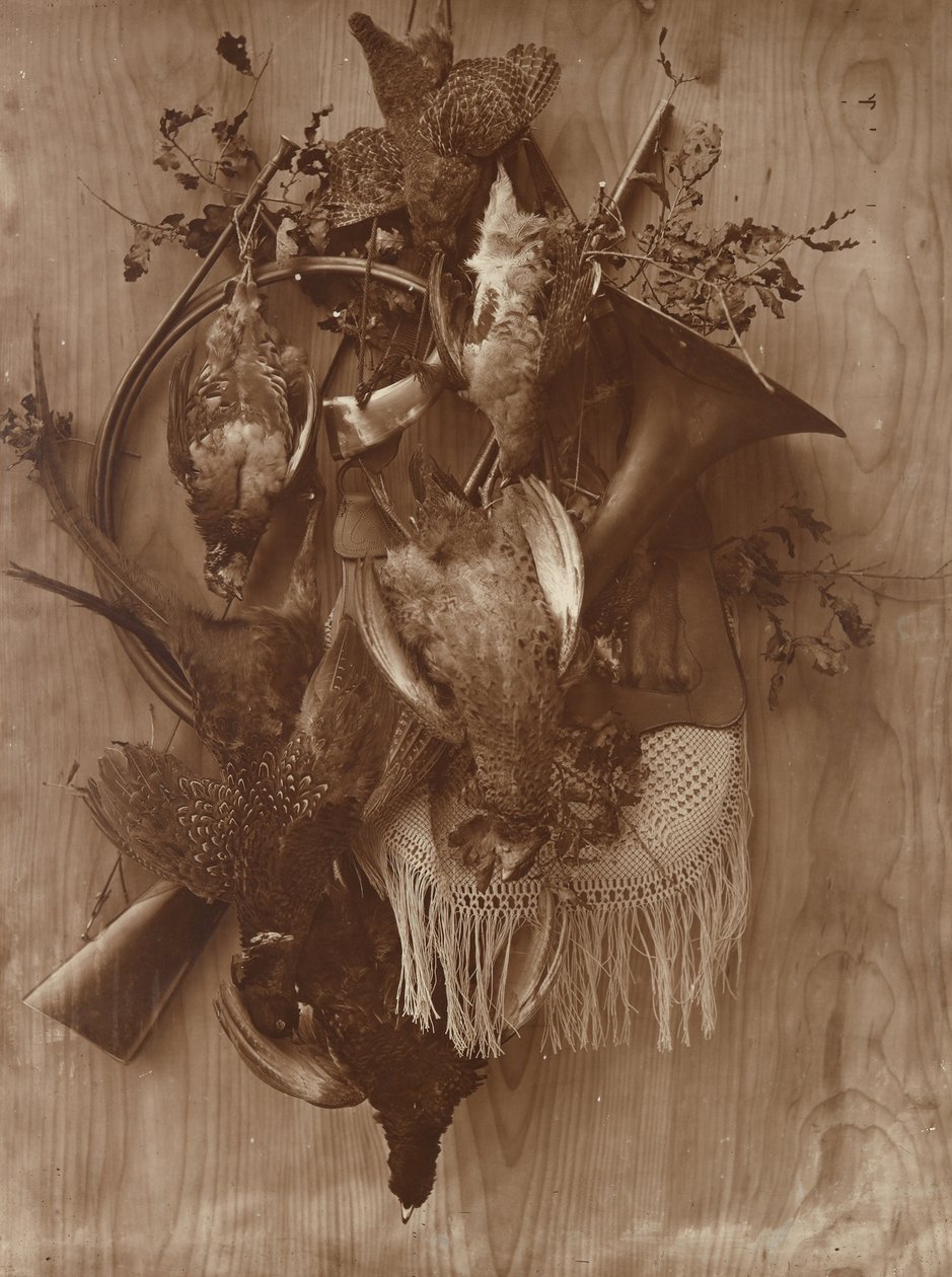 Fasan und Moorhuhn von Adolphe Braun