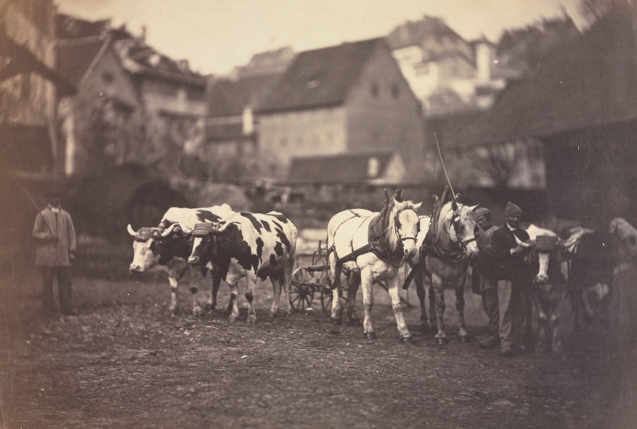 Ohne Titel Bauernhoftiere, 1850er von Adolphe Braun