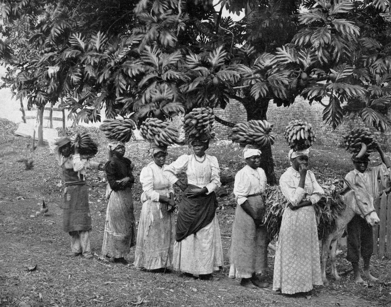 Bananenträger, Jamaika, ca. 1905 von Adolphe Duperly and Son