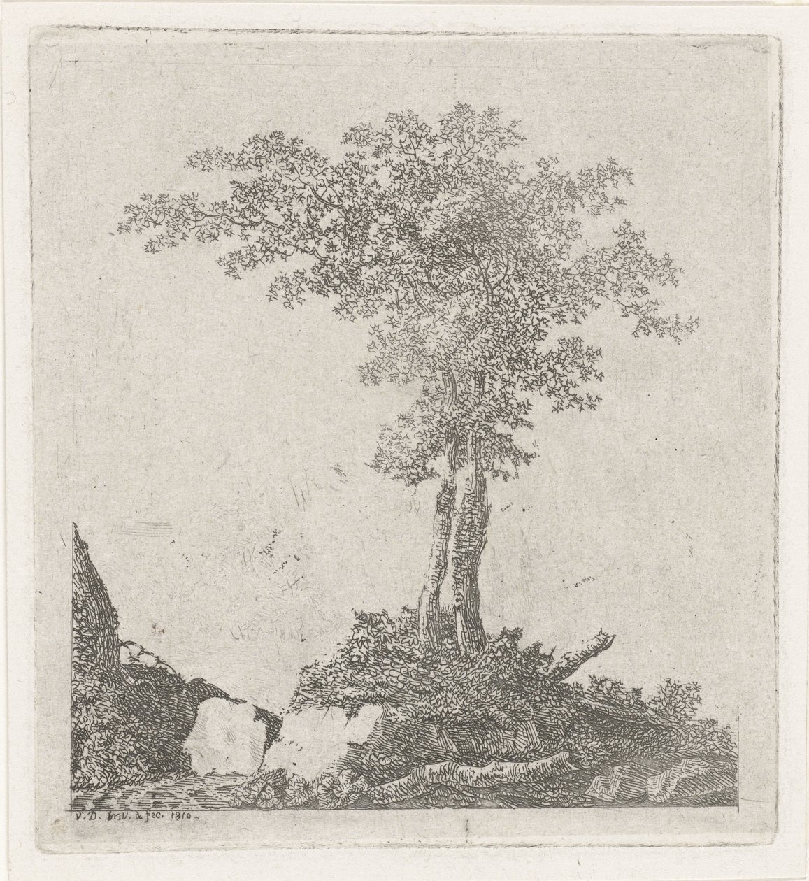 Zwei Bäume von Adriaan Jacob Willem van Dielen