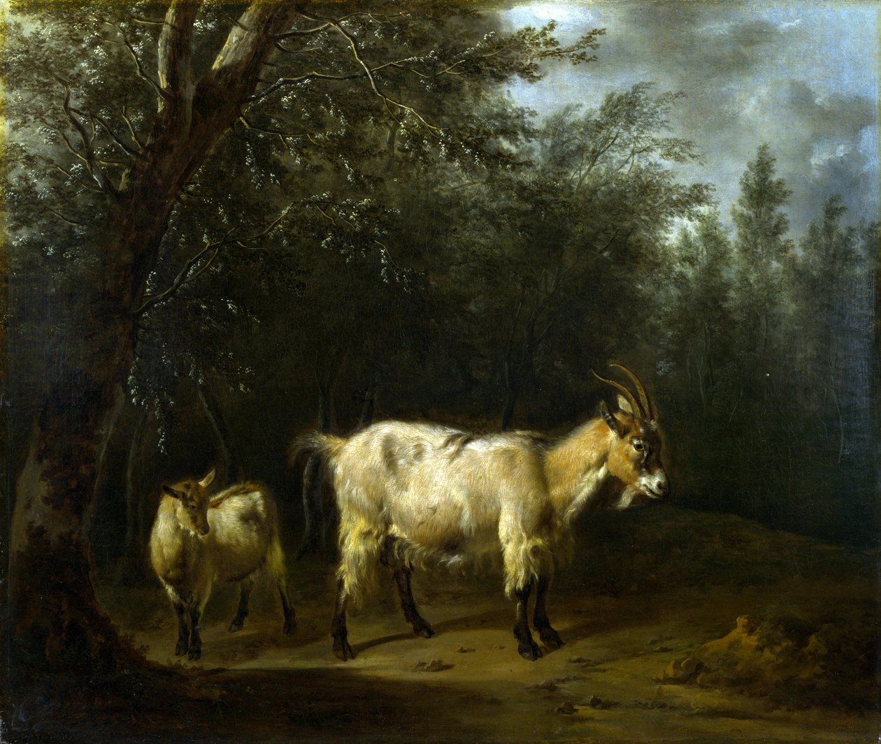 Eine Ziege und ein Zicklein von Adriaen van de Velde