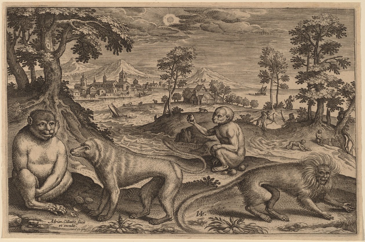 Zwei Affen und zwei Meerkatzen von Adriaen Collaert