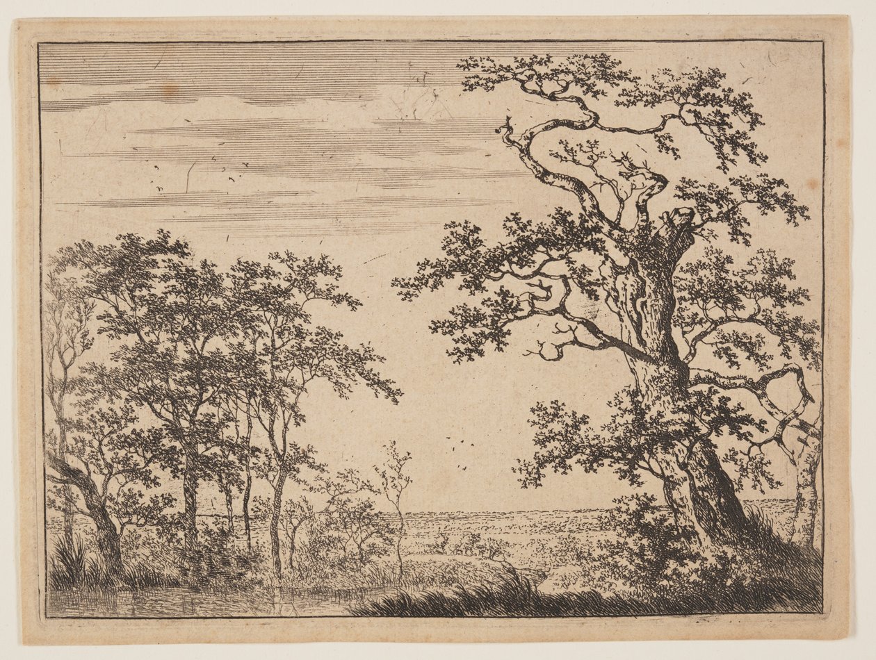 Der Teich von Adriaen Hendricksz. Verboom