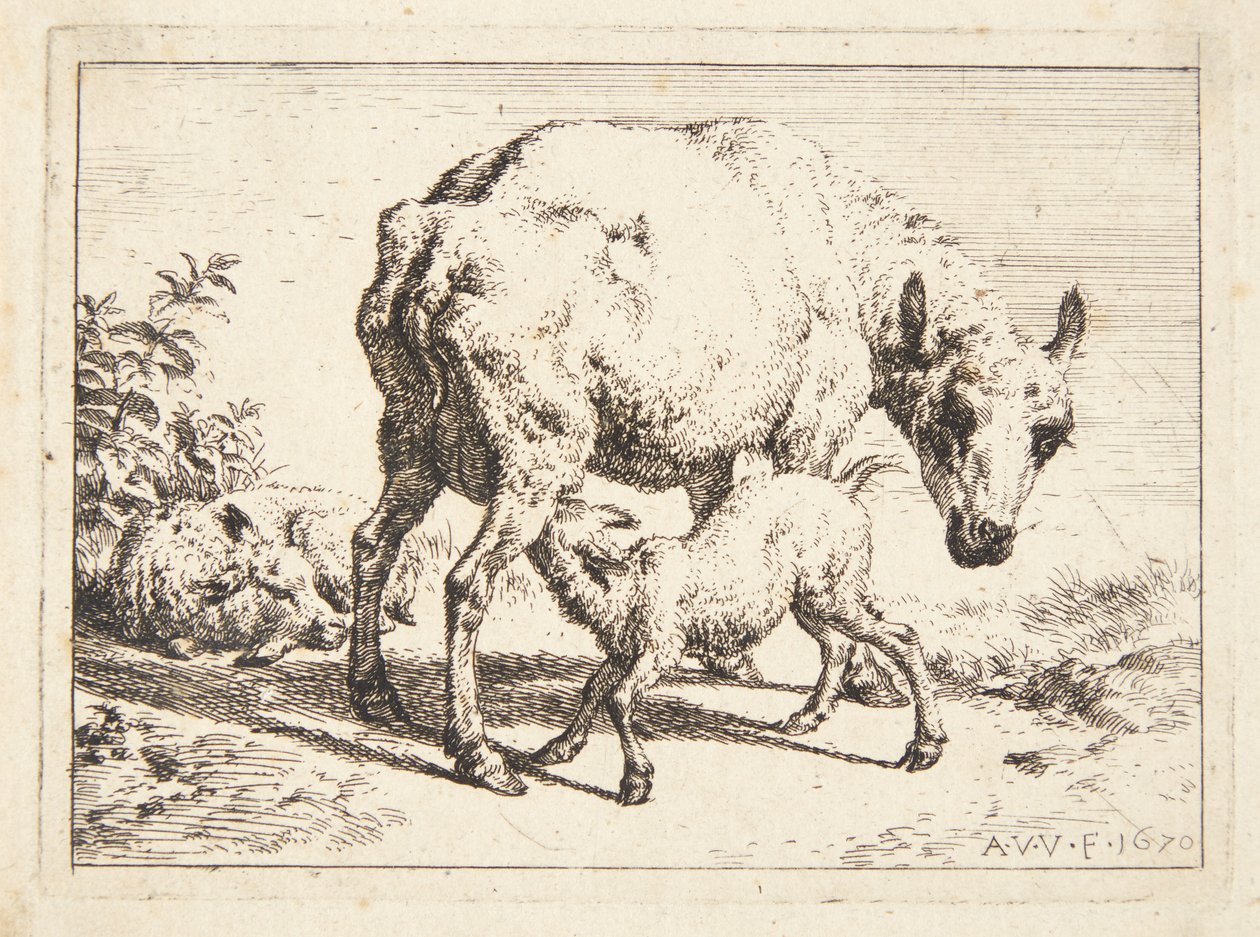 Schafe und zwei Lämmer von Adriaen van de Velde
