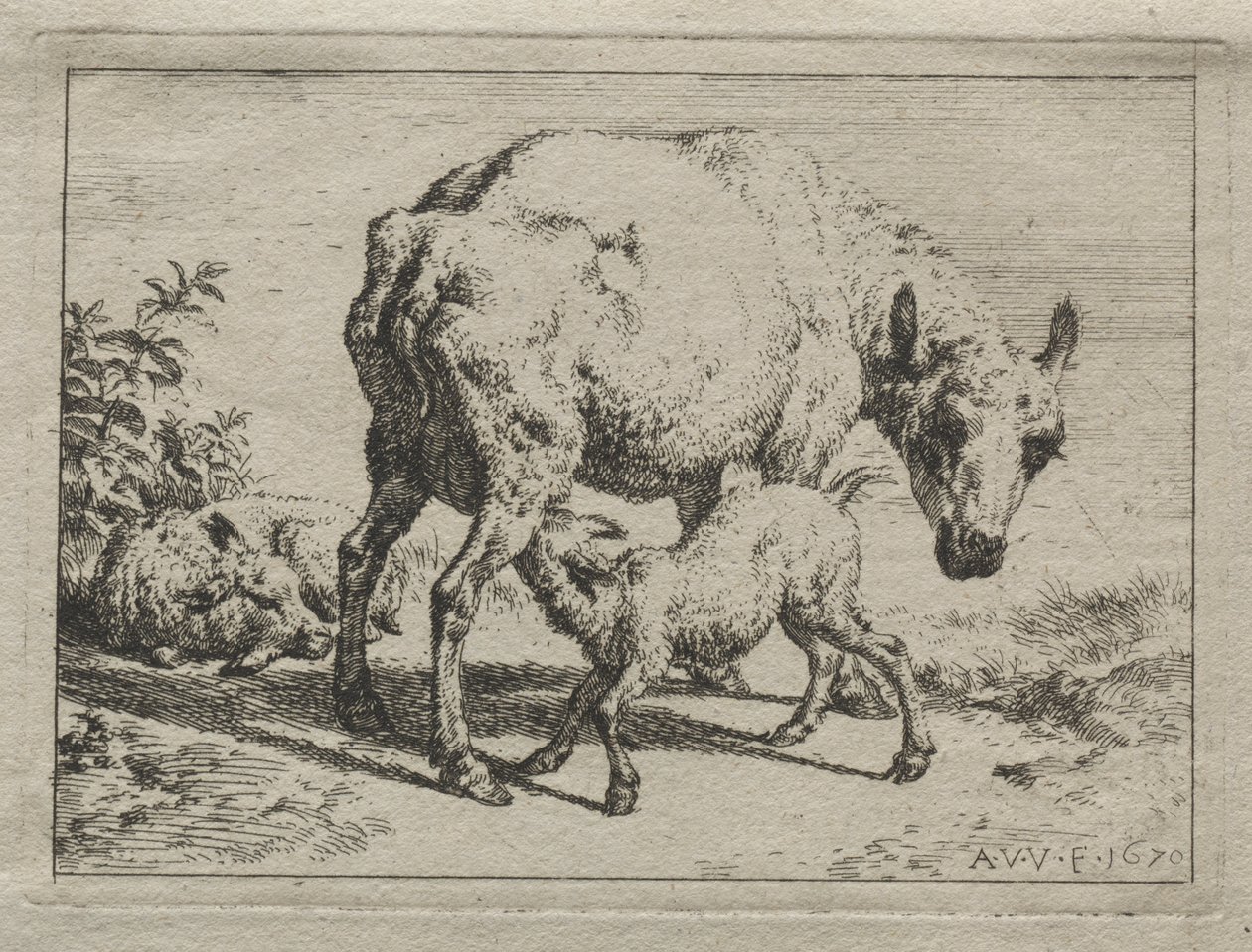 Das Mutterschaf und zwei Lämmer von Adriaen van de Velde