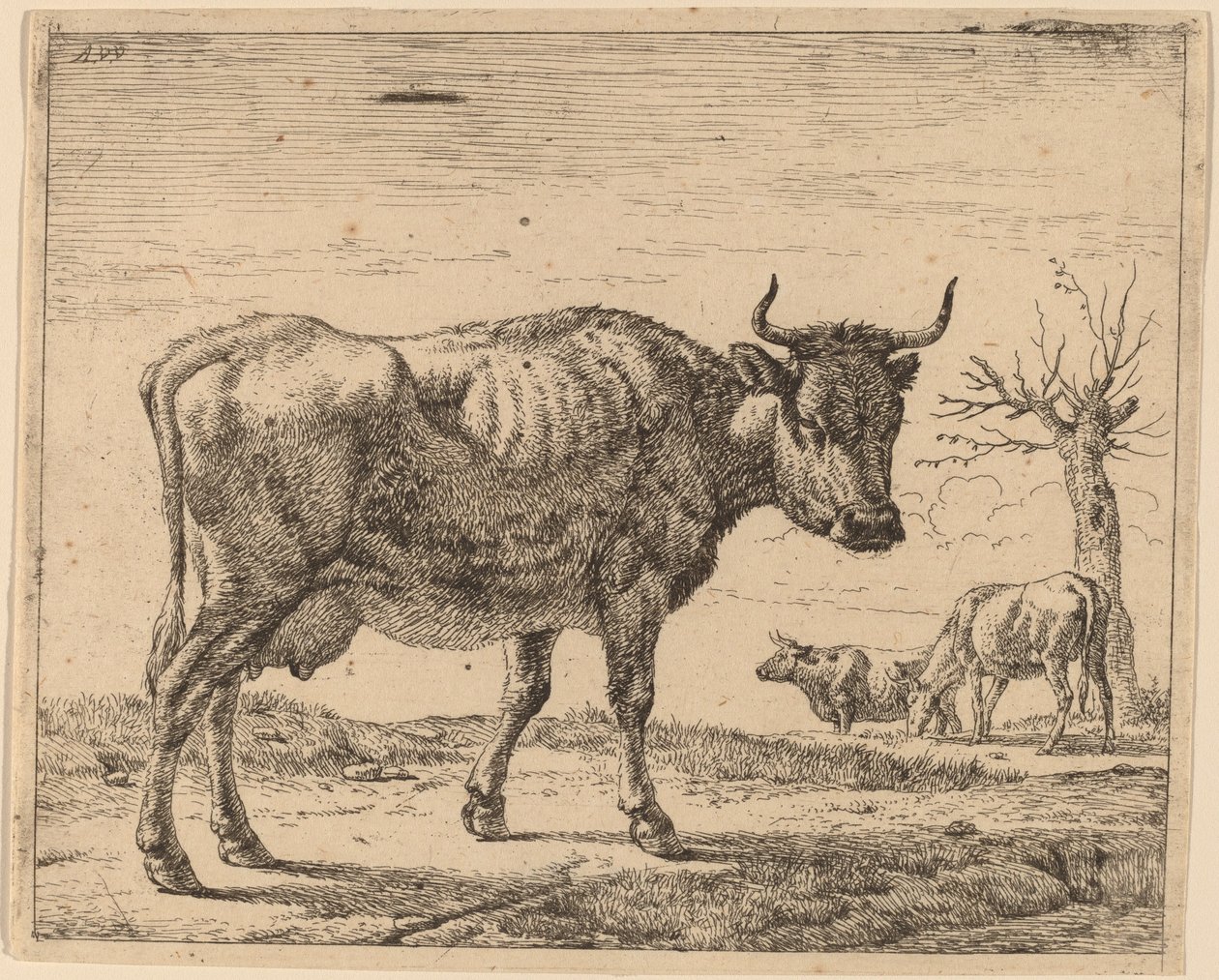 Drei Kühe von Adriaen van de Velde