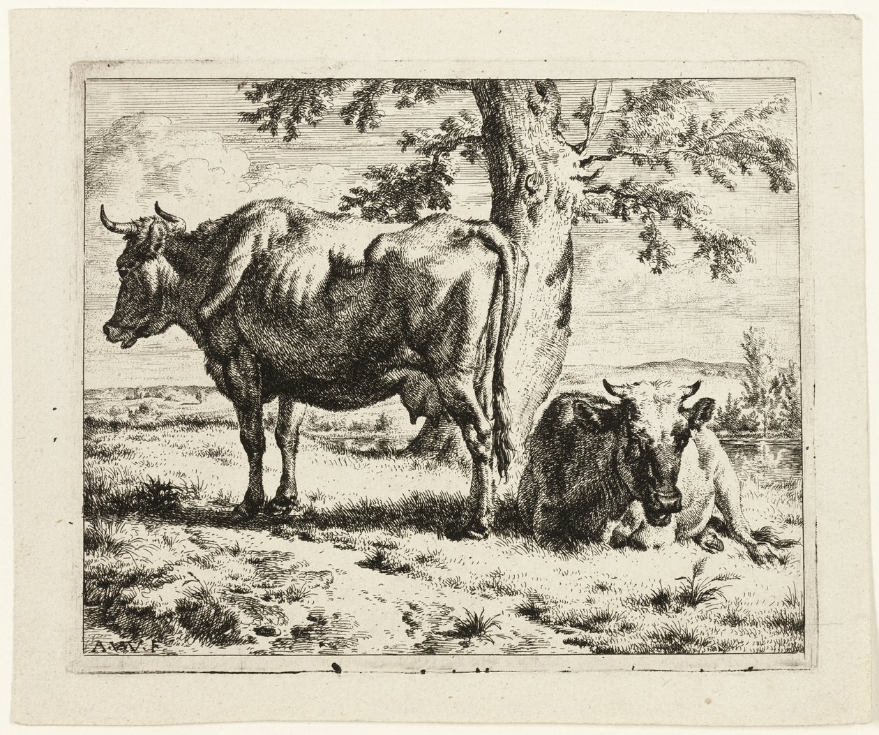 Zwei Kühe unter einem Baum von Adriaen van de Velde