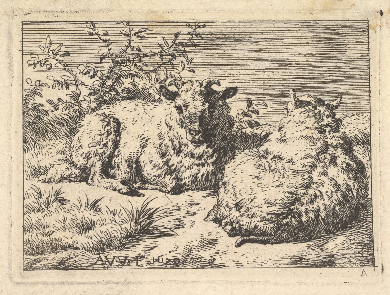 Zwei liegende Schafe von Adriaen van de Velde