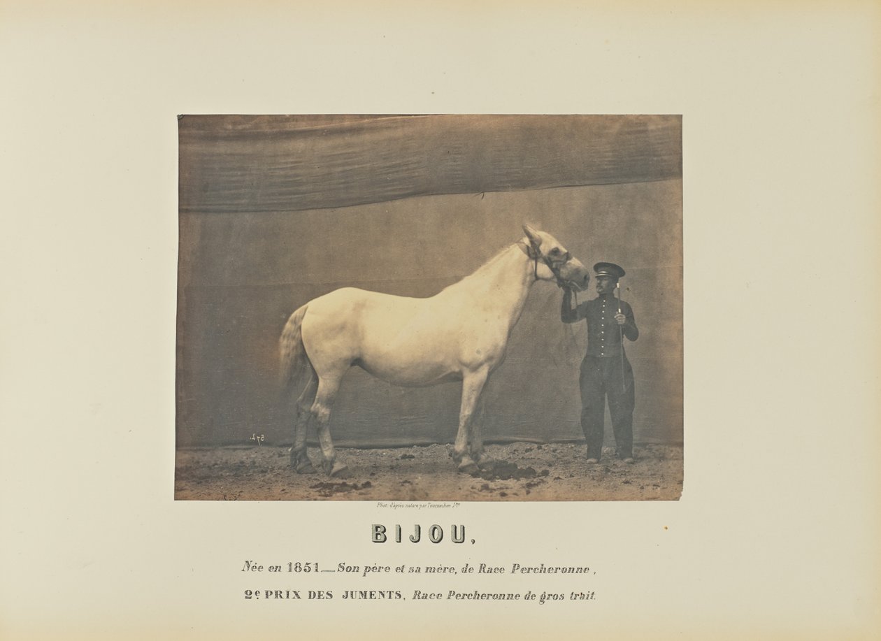 Bijou von Adrien Alban Tournachon