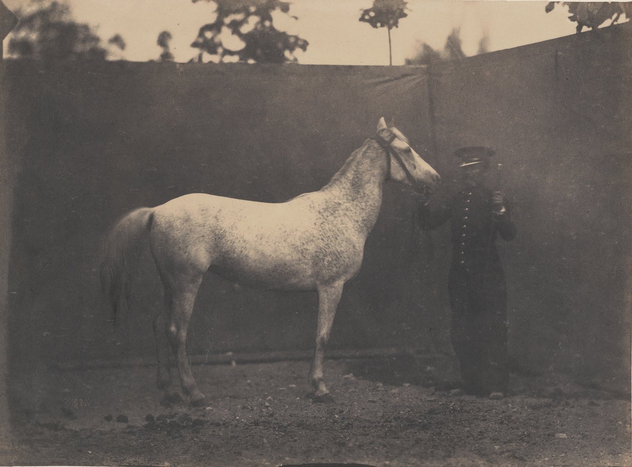 Pascaline, ca. 1855-60 von Adrien Alban Tournachon